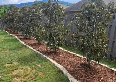 Affordable Landscaper