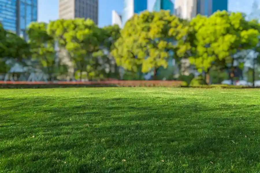 Quality Commercial Landscaping Huntsville, AL Quality Commercial Landscaping Huntsville, AL